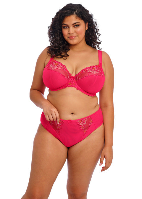Elomi Teagan High Leg Brief Azalea