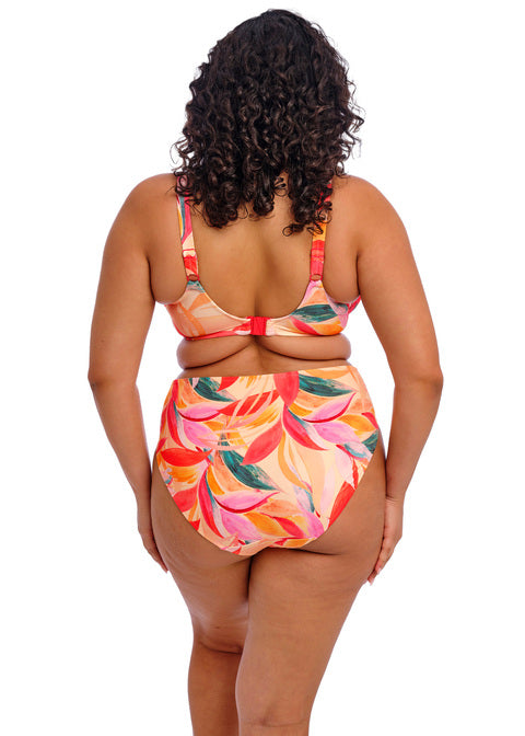 Elomi Sancho Beach Uw Plunge Bikini Top Mango