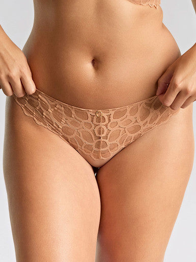 Panache Allure Thong Honey
