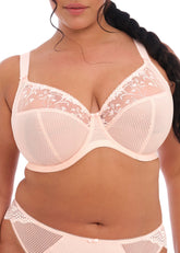 Elomi Charley Uw Plunge Bra Ballet Pink