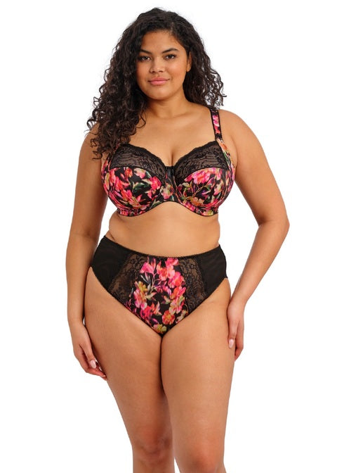 Elomi Morgan High Leg Brief Hot House