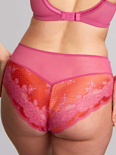 Panache Clara Deep Brief Pink Papaya