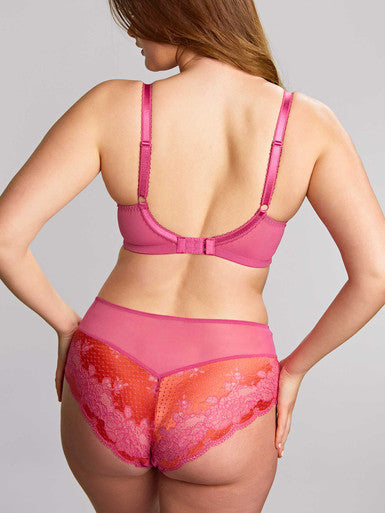 Panache Clara Deep Brief Pink Papaya