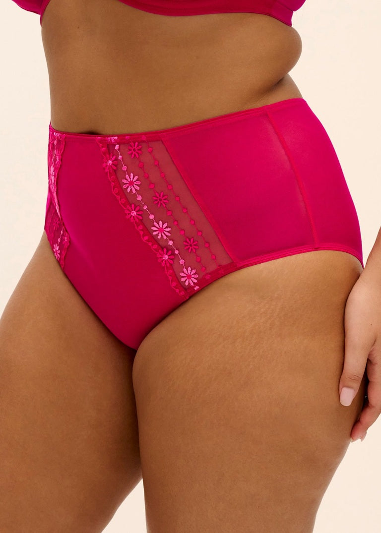Elomi Matilda Full Brief Hot Pink
