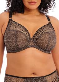 Elomi Matilda UW Plunge Bra Leopard