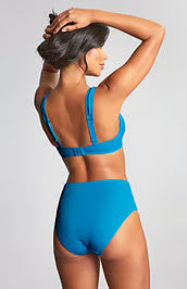 Panache Jennifer High Waist Bikini Bottoms Aurora Blue
